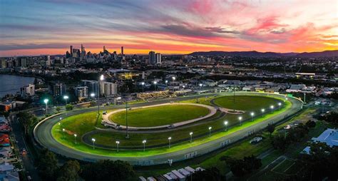 albion park greyhound results|Albion Park Greyhound Race Results for 31 December 2023.